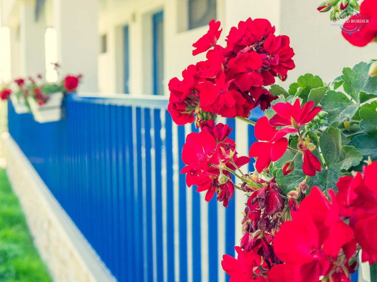 The Old Border Hotel Vama Veche Exterior photo